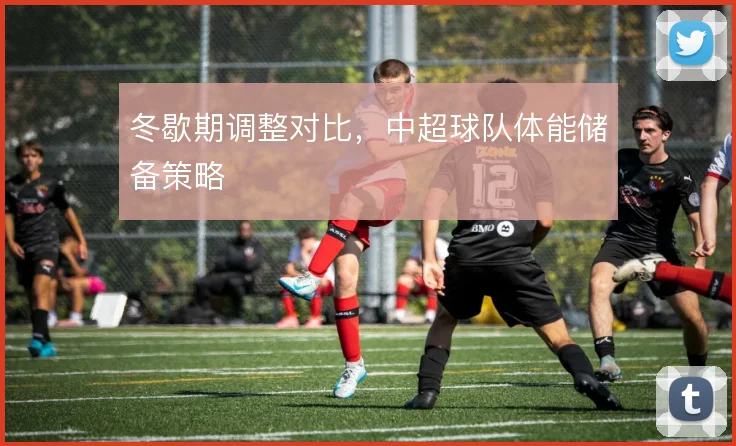冬歇期调整对比,中超球队体能储备策略